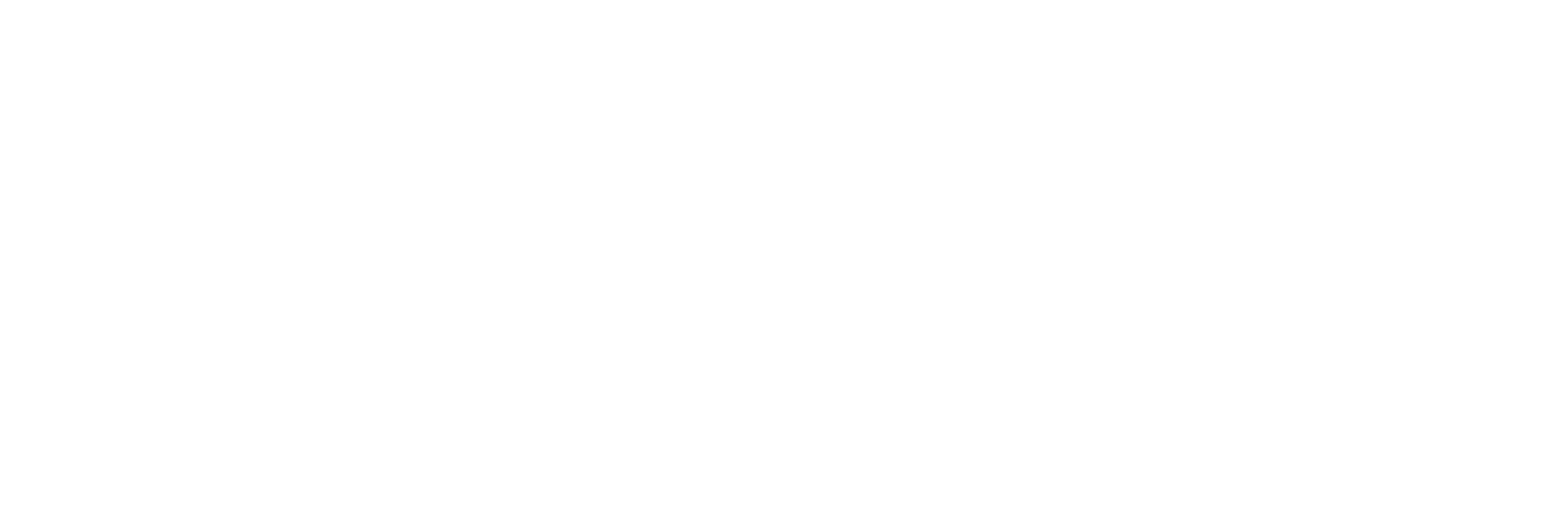VerstLogistics_WhiteLogo
